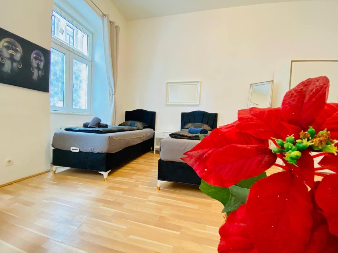 Cozy Studio Lg Apartment Viena Exterior foto